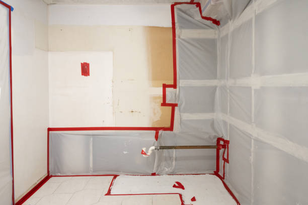 Trusted Troy, IL Mold Removal Experts